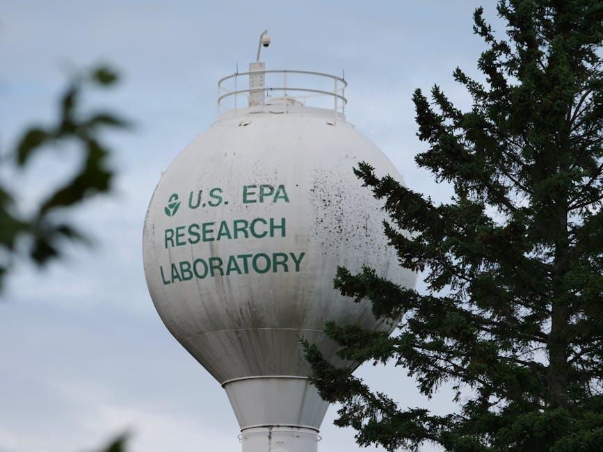How to Choose the Right EPA and DHA Levels for Your Health