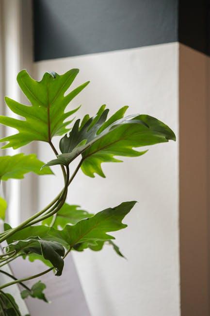 Balancing Sound Comfort with Purification Performance