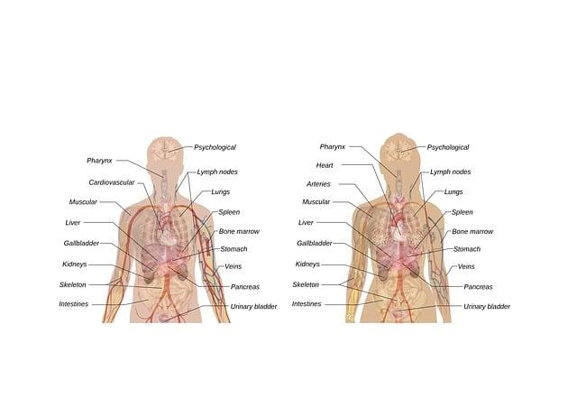 Tips for Reading Labels and Avoiding Irritants