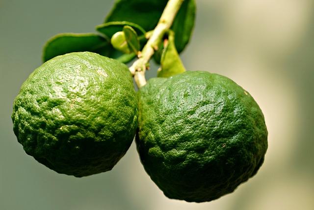 Comparing Texture and Absorption in Popular Azelaic Acid Formulations