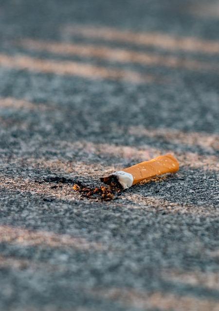 Deep Dive into Habit Formation Features Driving Lasting Change