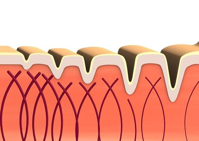 Understanding Collagen Types and Their Impact on Value