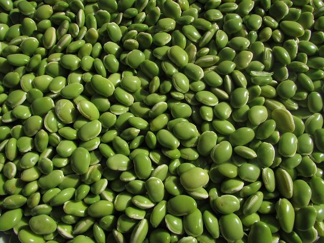 Understanding the Texture Differences Between Plant Protein and Whey