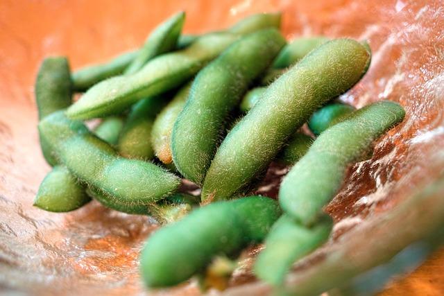 Choosing the Right Protein Based on Your Personal Preferences and Needs
