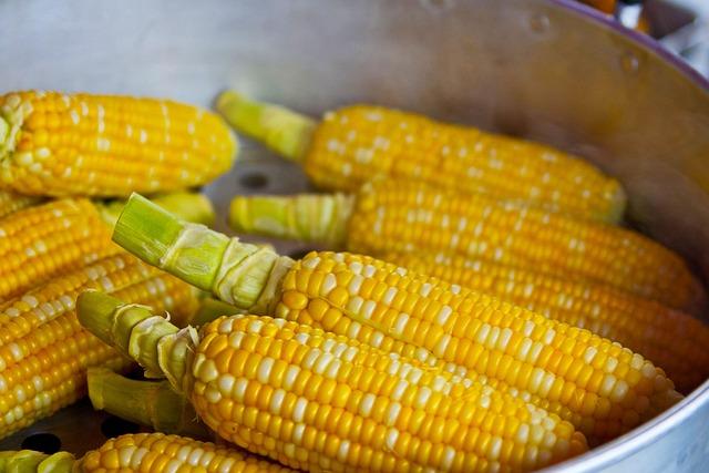 Choosing Affordable Ingredients and Products with Maximum Benefits